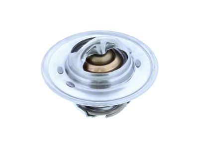 Thermostat; 195-Degree (94-03 RAM 1500)