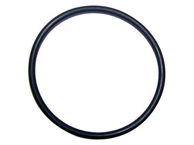 Thermostat O-Ring (14-18 3.0L EcoDiesel RAM 1500)