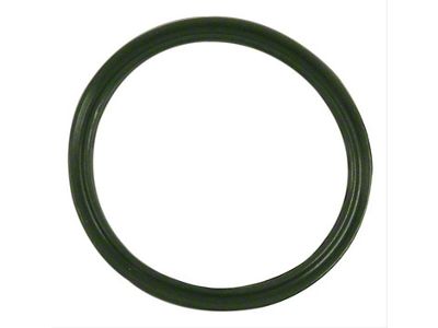 Vapor Canister Seal; Evaporative System (04-18 RAM 1500)