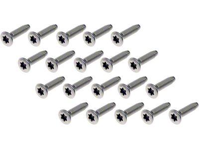 Door Hinge Screw (11-19 RAM 2500)