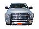 Grille Guard; Stainless Steel (10-18 RAM 2500)
