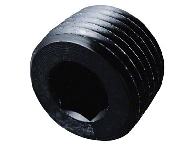 Internal Pipe Plug; 1/8 NPT; Black