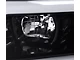 LED Tube Projector Headlights; Jet Black Housing; Clear Lens (19-24 RAM 2500 w/ Factory Halogen Headlights)