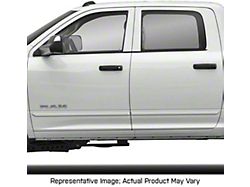 Painted Body Side Molding; Patriot Blue Pearl II (19-24 RAM 2500 Crew Cab, Mega Cab)