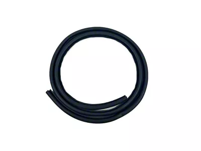 Rear Door Seal on Body (03-09 RAM 2500 Quad Cab)
