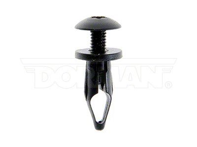 Retainer Screw; 1/4-Inch; 2-Pieces