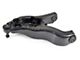 Supreme Front Lower Control Arm and Ball Joint Assembly; Driver Side (03-05 2WD RAM 2500)