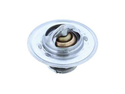Thermostat; 180-Degree (94-02 RAM 2500)