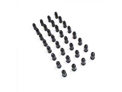 Black 3/4-Inch Bulge Acorn Lug Nut Kit; 9/16-Inch; Set of 32 (03-11 RAM 3500)
