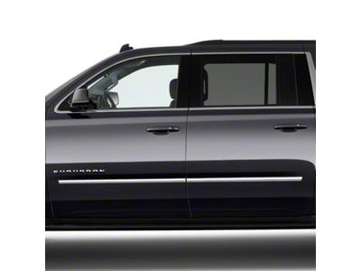 Chrome Body Side Molding (19-23 RAM 3500 Crew Cab, Mega Cab)