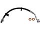 Front Outer Brake Hydraulic Hose; Passenger Side (14-17 2WD RAM 3500)