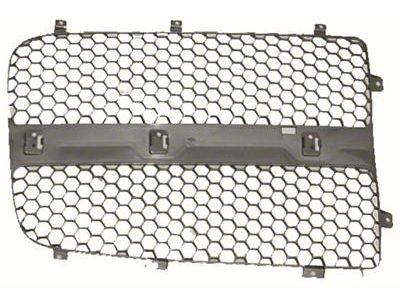 Replacement Grille Insert; Filler (03-05 RAM 3500)