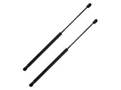 Hood Lift Support Set (03-07 RAM 3500)