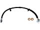 Rear Brake Hydraulic Hose; Inner; 23.25-Inch Long (13-14 RAM 3500 Cab and Chassis)