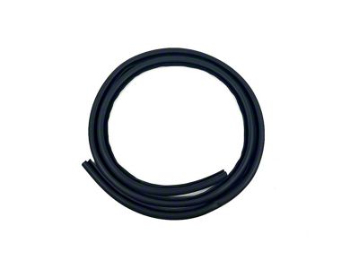 Rear Door Seal on Body (03-09 RAM 3500 Quad Cab)