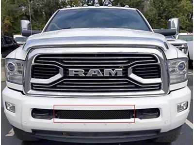 Wire Mesh Lower Grille Insert; Black (10-18 RAM 3500)