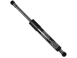 Tailgate Lift Support Struts (19-26 Ranger)