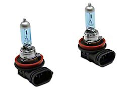 Raxiom Elite Low Beam Light Bulbs; H11 (15-25 F-150 w/ Factory Halogen Headlights)