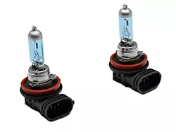 Raxiom Elite Low Beam Light Bulbs; H11 (15-23 F-150 w/ Factory Halogen Headlights)