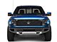 RBP RX-2 Series Smooth Frame Upper Replacement Grille; Black (10-14 F-150 Raptor)