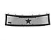RBP RX-2 Series Smooth Frame Upper Replacement Grille; Black (10-14 F-150 Raptor)