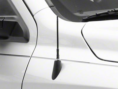 RedRock Antenna; 6-Inch (09-18 RAM 1500)