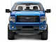 RedRock Grille Insert; Faded Glory (09-14 F-150, Excluding Raptor)