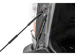 Rough Country Tailgate Assist (15-22 Canyon)