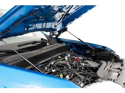 Rough Country Hood Struts (22-26 2.0L EcoBoost Maverick)