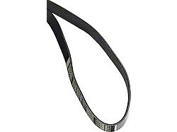 Roush Phase 1 and 2 TVS Supercharger Serpentine Belt (11-14 6.2L F-150)