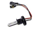 Rugged Ridge HID Fog Light Bulb for 5 to 6-Inch HID Lights 