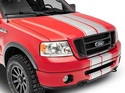 SEC10 Full Length Stripes; Silver (04-08 F-150)