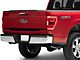 SEC10 Lower Tailgate Accent Decal; Gloss Black (21-24 F-150)