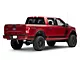 SEC10 Side Stripes with Honeycomb Pattern (97-24 F-150)