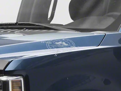 SEC10 Small Pirate Compass Decals; Silver (Universal; Some Adaptation May Be Required)