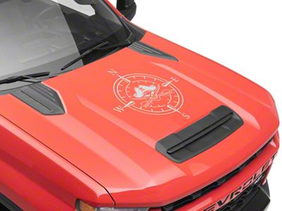 SEC10 Pirate Compass Hood Decal; Silver (Universal; Some Adaptation May Be Required)