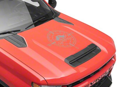 SEC10 Pirate Compass Hood Decal; Silver (Universal; Some Adaptation May Be Required)