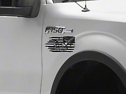 SEC10 Eagle Distress Novelty Decal (Universal; Some Adaptation May Be Required)