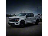 Sick Diesel Center LED Grille Lights; Smoked; Black Frame (24-26 F-150 STX, XLT)