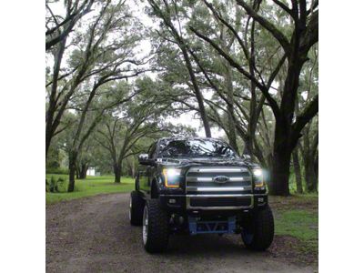 Sick Diesel Ghost LED Grille Lights; Black Frame (15-17 F-150 Platinum)