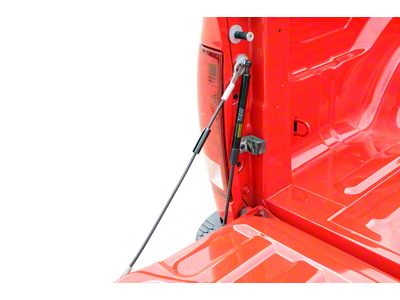 Tailgate Assist (01-06 Sierra 2500 HD)