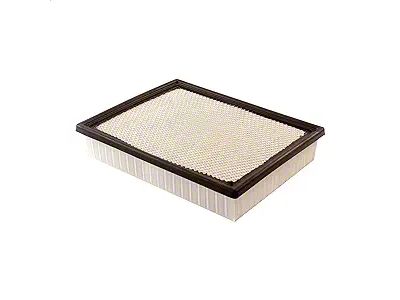 Air Filter (07-19 6.0L Sierra 3500 HD)