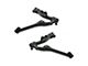 Front Lower Control Arms with Ball Joints (07-10 Sierra 3500 HD)