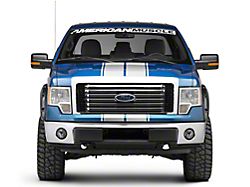 SEC10 Full Length Stripes; Silver; 10-1/4-Inch (09-14 F-150)
