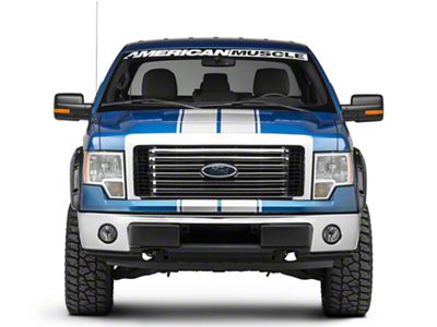 SEC10 Full Length Stripes; Silver; 10-1/4-Inch (09-14 F-150)