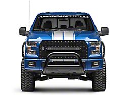 SEC10 Full Length Stripes; Silver; 10-1/4-Inch (15-20 F-150)