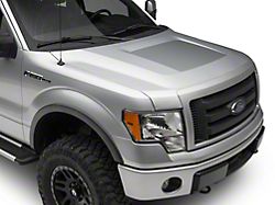 SEC10 Hood Decal; Silver (09-14 F-150, Excluding Raptor)