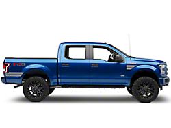 SEC10 Side Hash Marks; Silver (15-20 F-150)