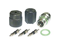 A/C System Valve Core and Cap Kit (99-16 Silverado 1500)