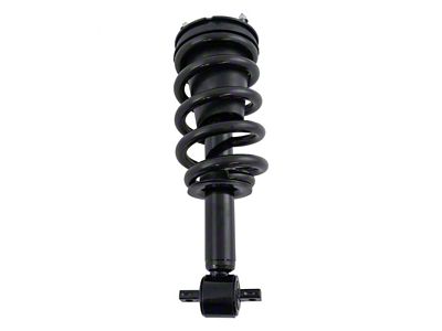 Front Strut and Spring Assembly (14-18 4WD Silverado 1500)